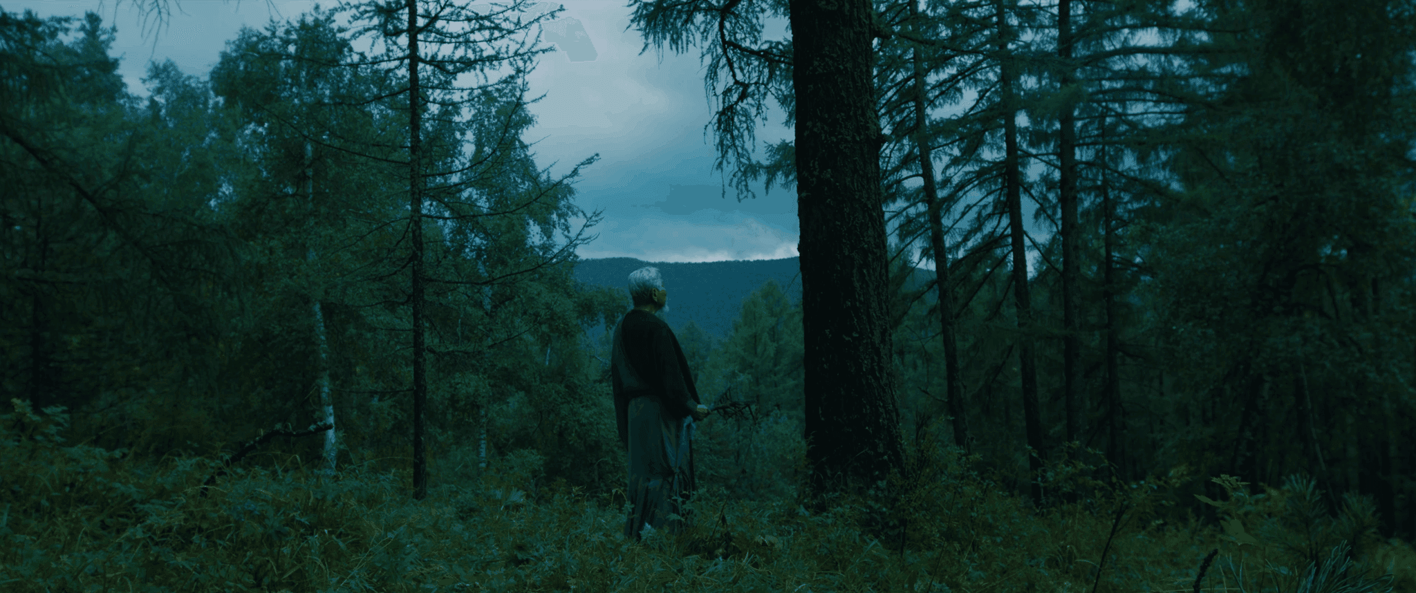 Film