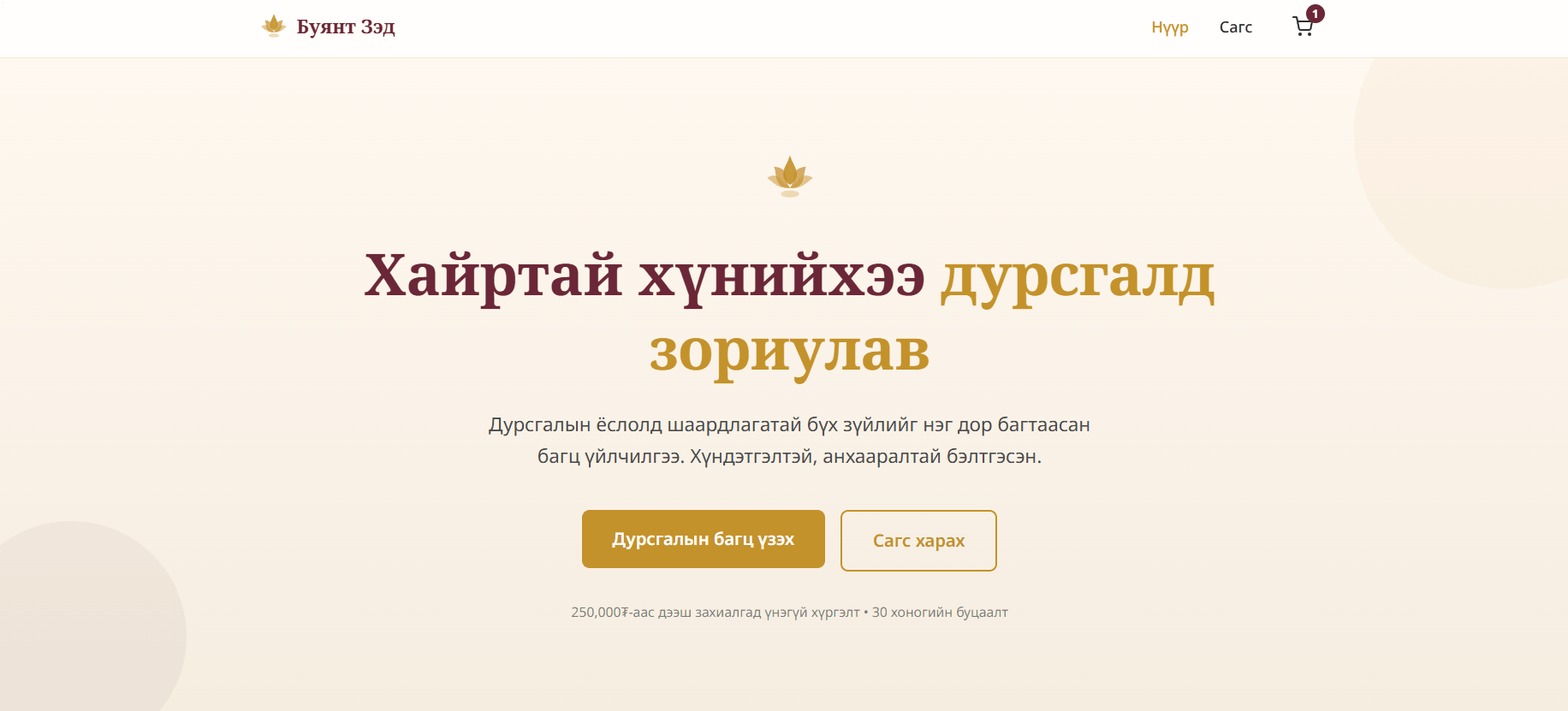 Web Development