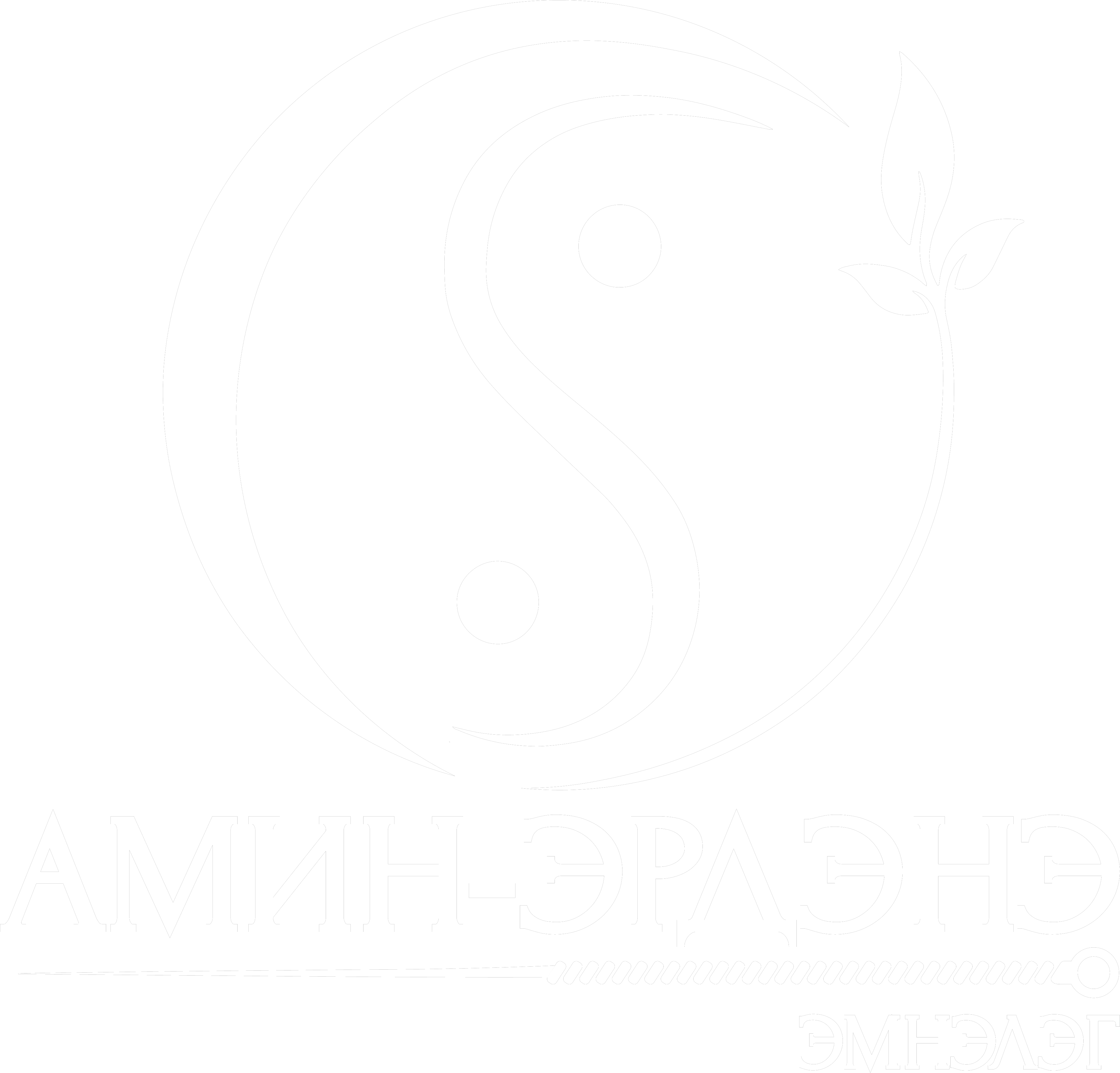 Amin-Erdene