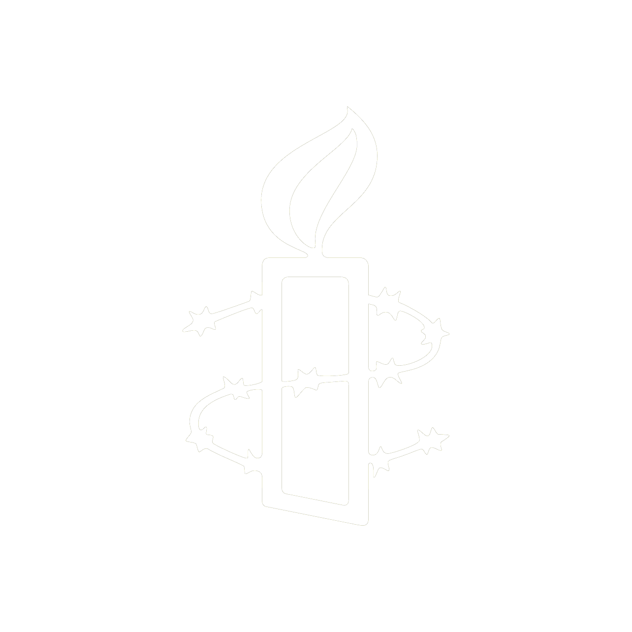 Amnesty